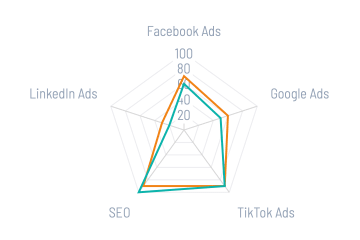 Template preview of CAC Analysis: Channel Efficiency Profile